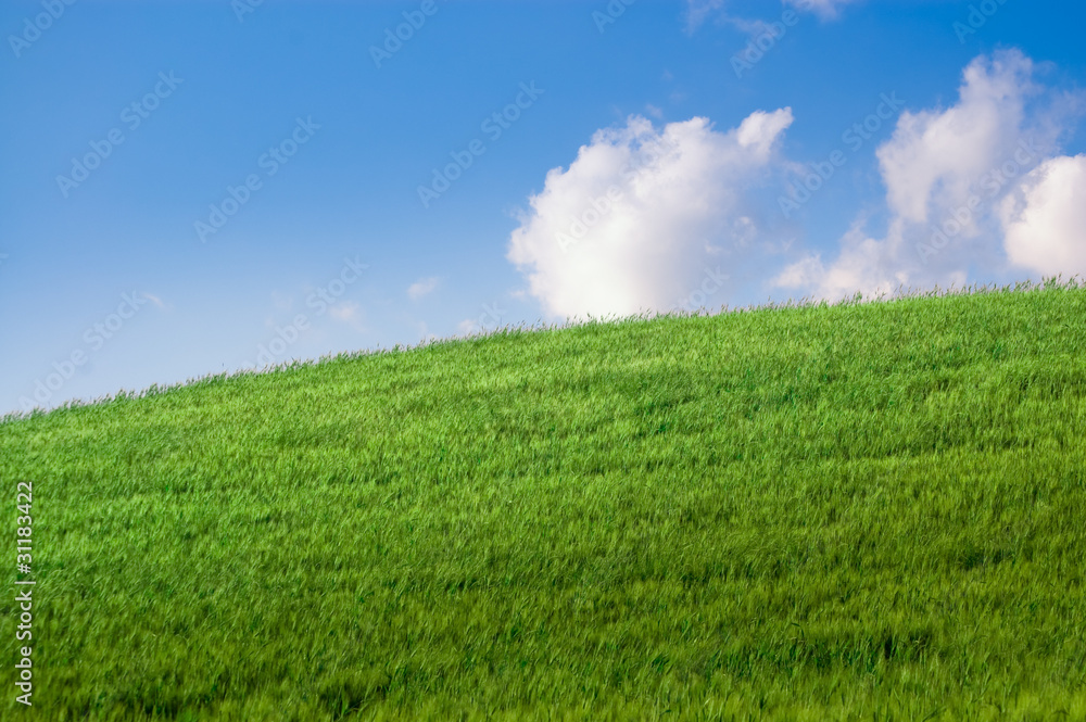 Naklejka premium collina estate