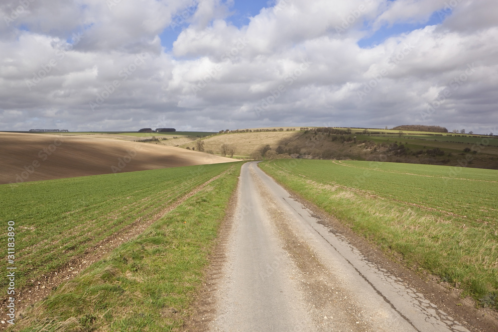 Fototapeta premium country road in april