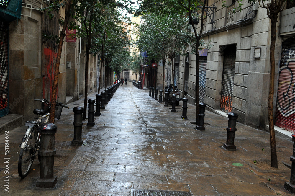 Fototapeta premium Après l'averse