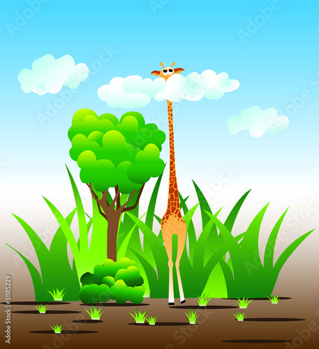 giraffe