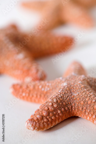 Starfish