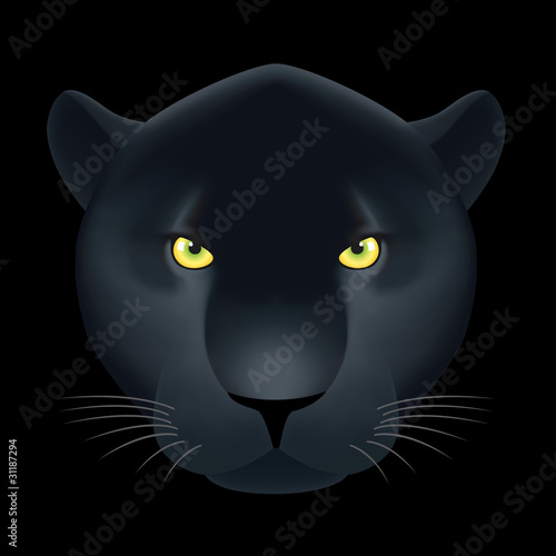 Dangerous cat