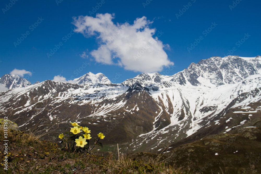 Fototapeta premium Alpenpanorama