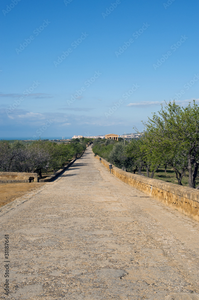 Path in the “Valle dei Templi”, Agrigento, Sicily