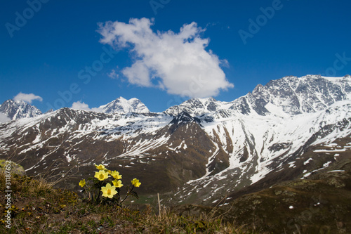 Alpenpanorama