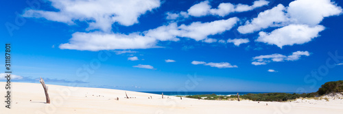 Henty Sand Dunes, West Coast Tasmania, Australia © Ian Woolcock