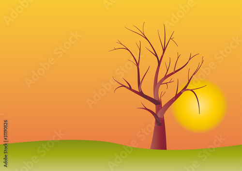 stylized tree in sunset