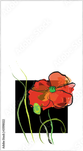мак/ poppy