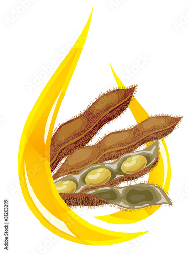 Soybean oil. Stylized drop of oil and soybean pod.