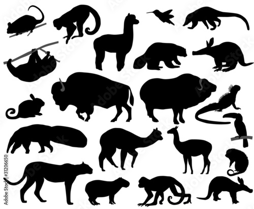 Animals of North and South America