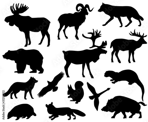 Animals of Europe