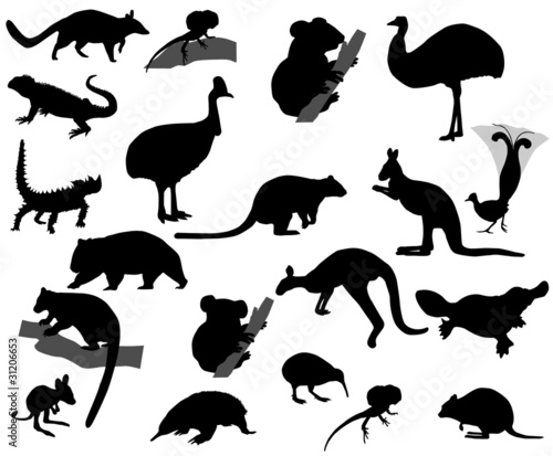 Animals of Australia