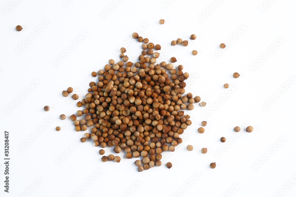 dried coriander fruit dried coriander fruit
