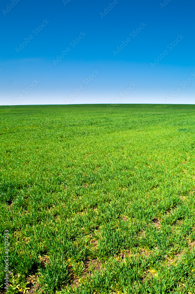 landscape landscape