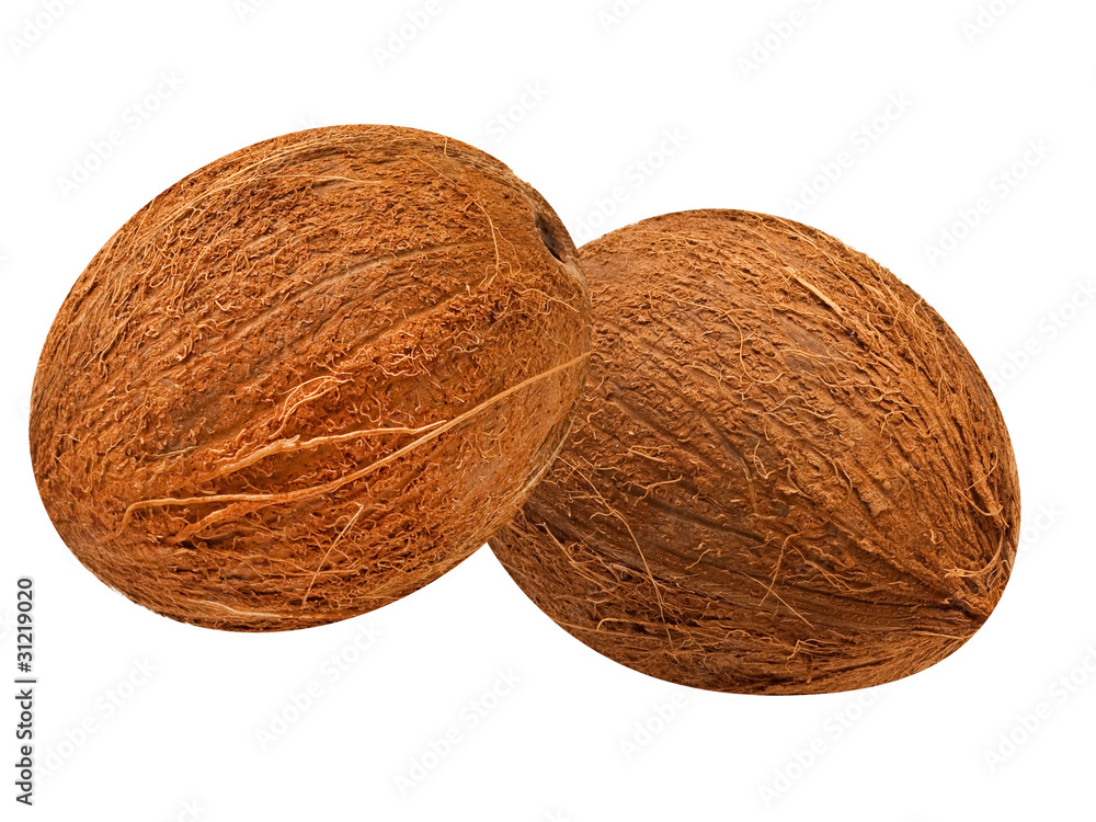 coconut isolated on white background coconut isolated on white background