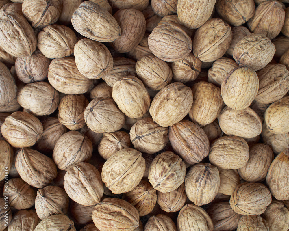 Earth treasures, walnuts Earth treasures, walnuts