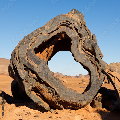 Petrified Wood - Akakus (Acacus) Mountains, Sahara, Libya photo