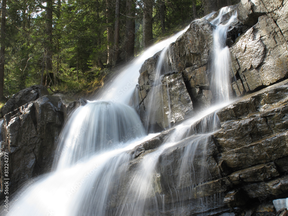 Obraz premium Wasserfall im Bergwald