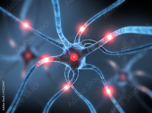 Neuronale Zellen photo