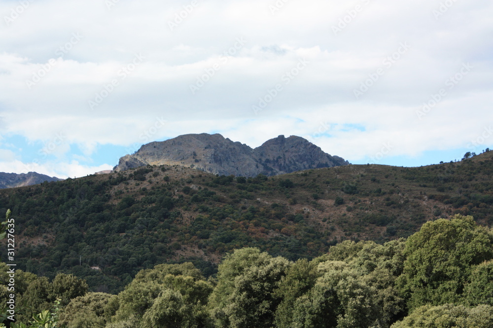 Obraz premium Montagne