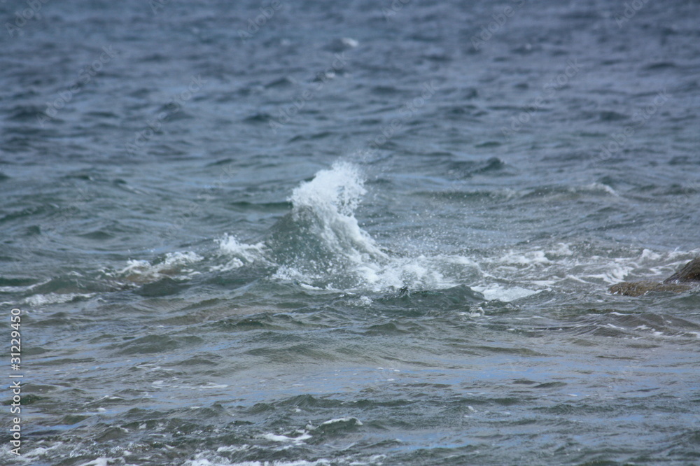 Fototapeta premium Vague