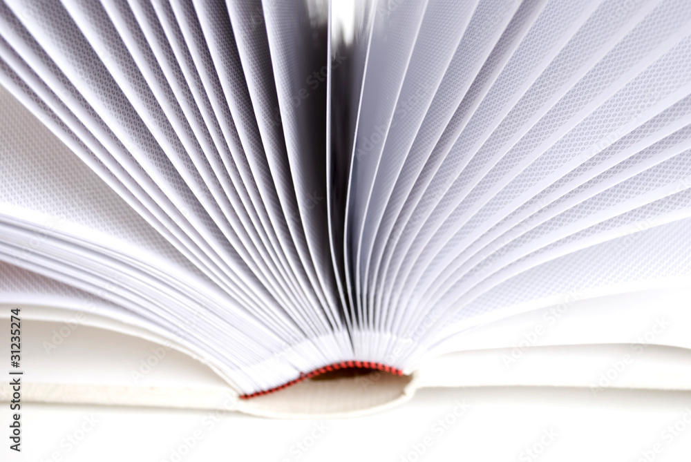 Fototapeta premium open book
