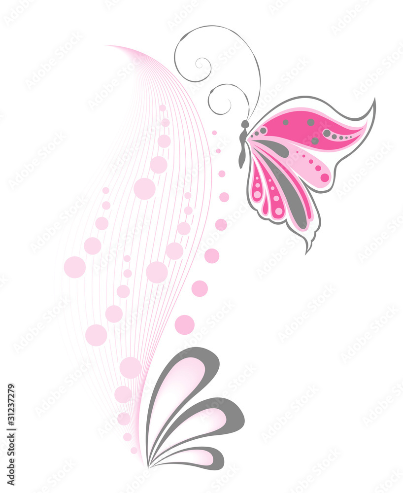 butterfly butterfly