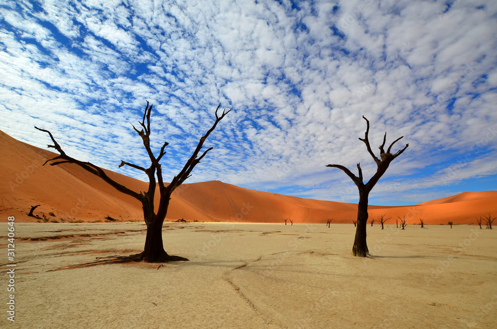 Dead Vlei in Namib desert,Namibia,Africa Dead Vlei in Namib desert,Namibia,Africa
