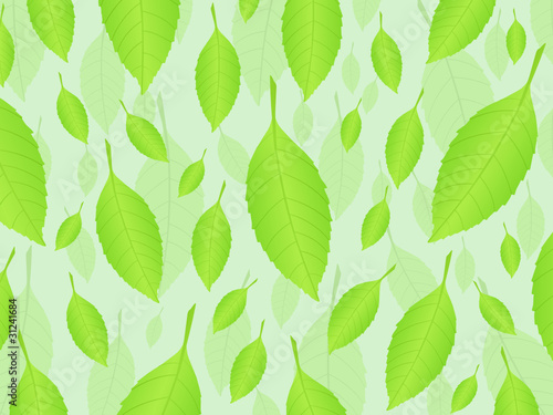 Fresh leafs background 3