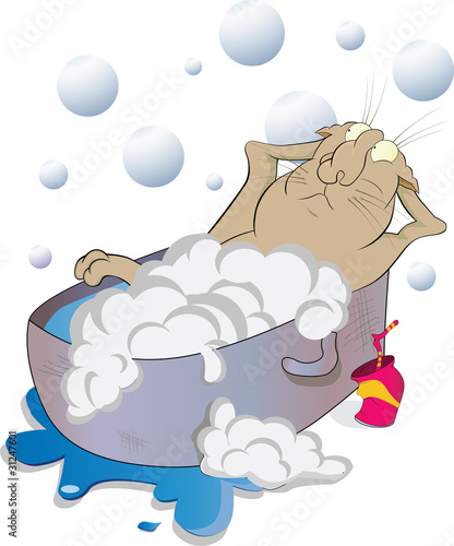 The cat bathes in a bath