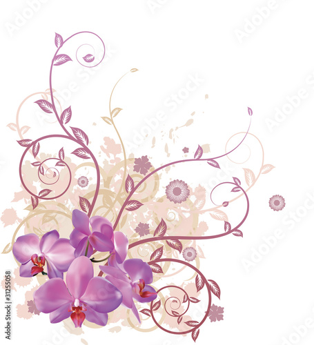 Cool orchid floral background