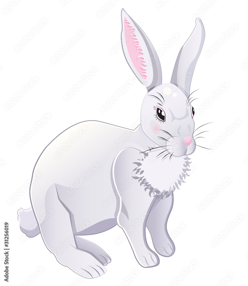 white rabbit white rabbit