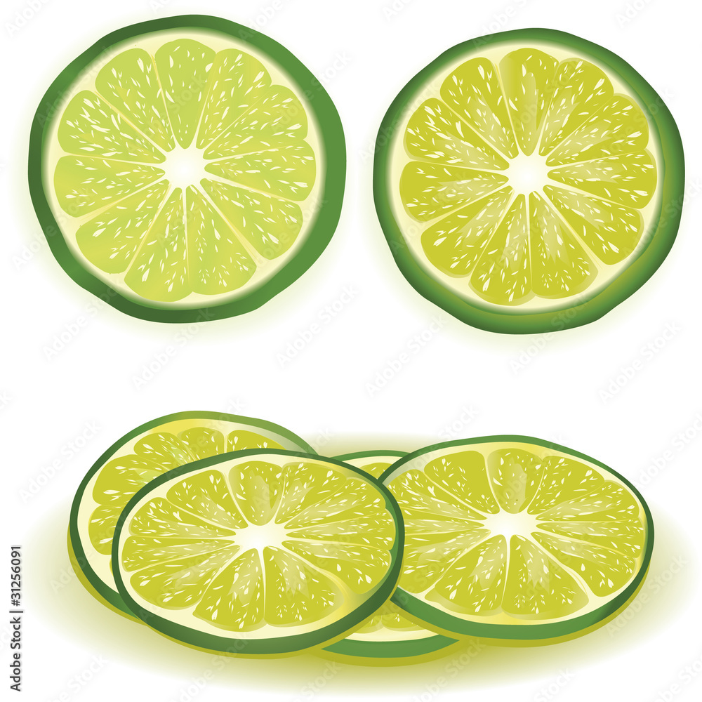 Fototapeta premium lime vector illustration with slices