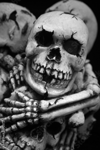 Skulls and bones