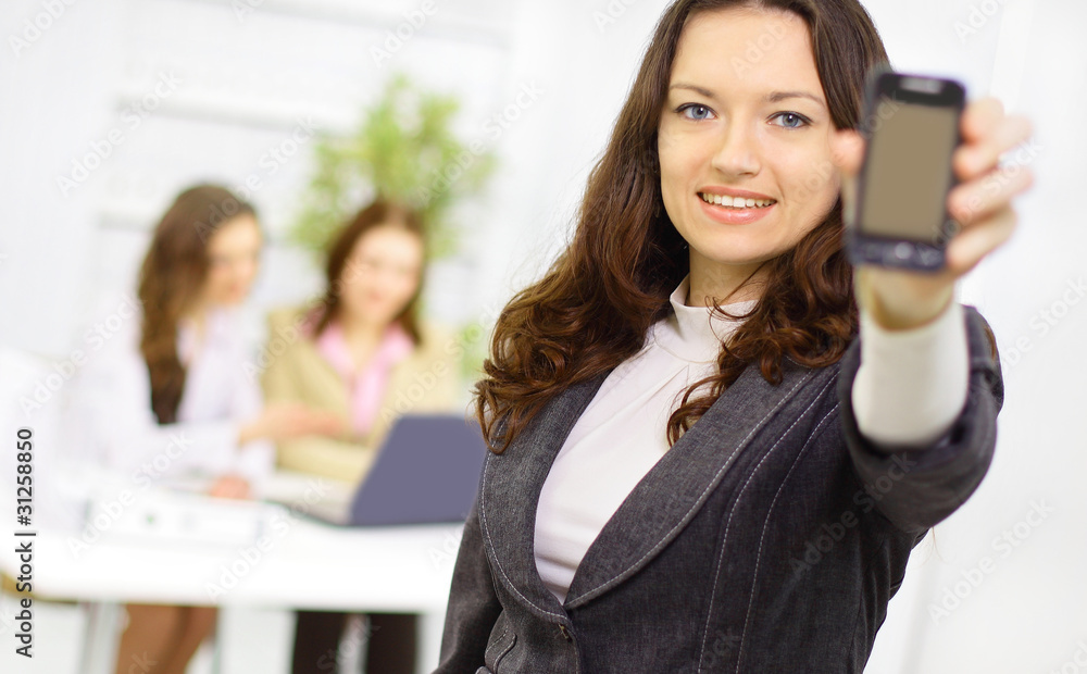 The beautiful business woman with a team on a The beautiful business woman with a team on a