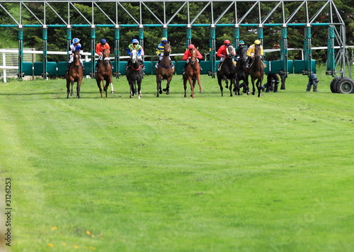 départ des boxes sur course hippique