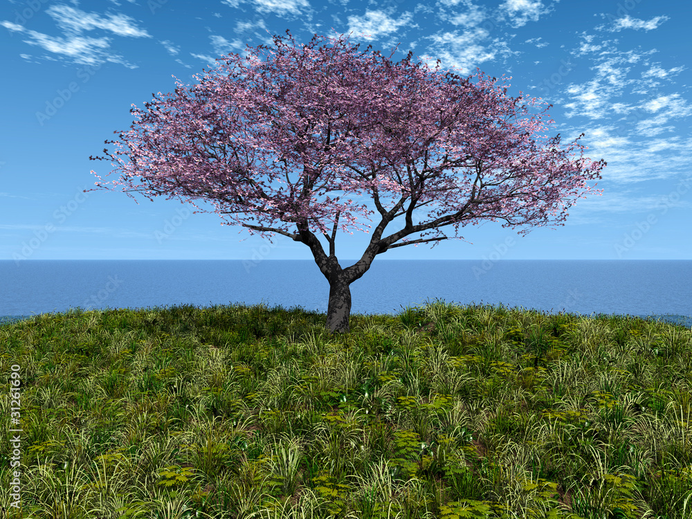 Naklejka premium cherry tree by the sea