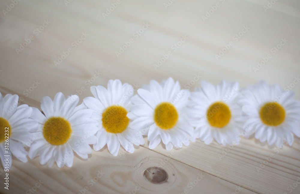 Obraz premium ligne de fleures sur un parquet de sapin
