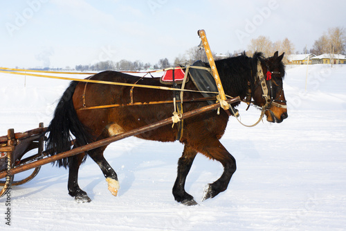 Drawn by a horse winter day.