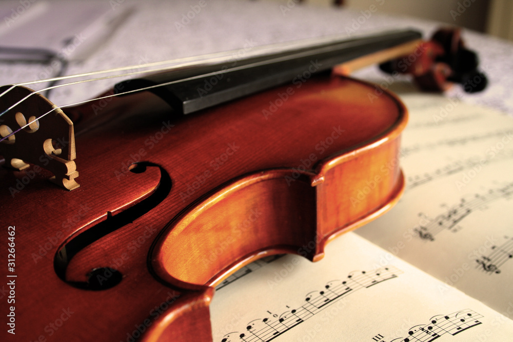 Fototapeta premium violino