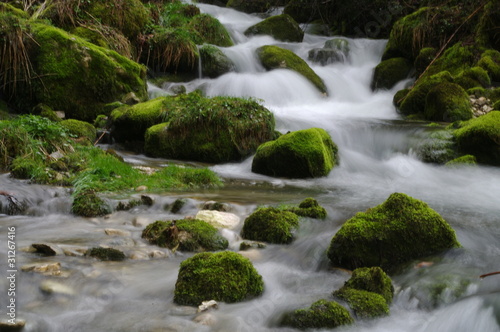rivière sauvage
