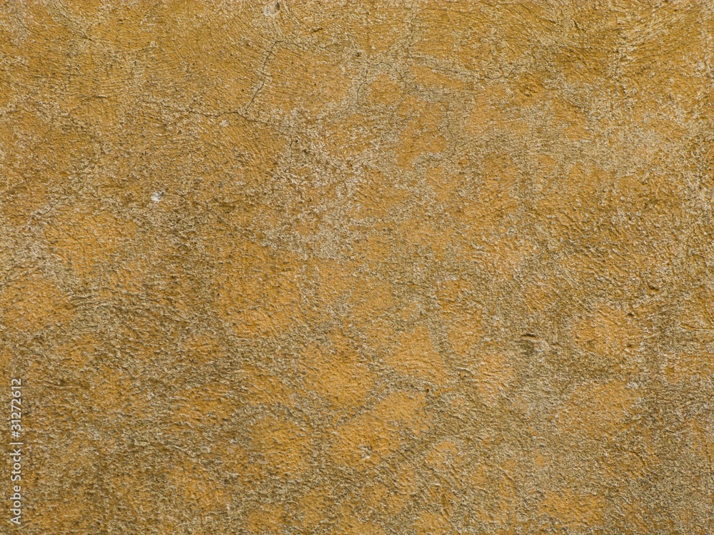 custom made wallpaper toronto digitalRaw plaster background