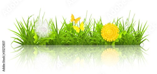 Dandelions and grass