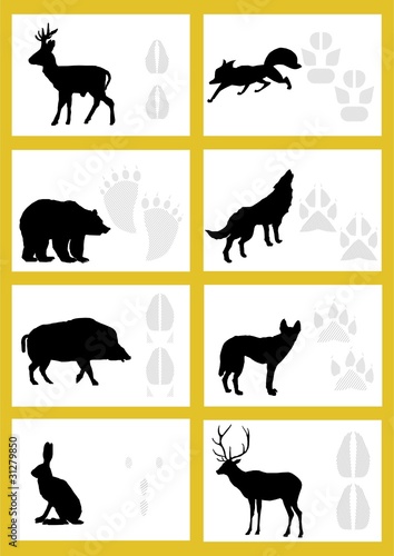 Footmark trace beast.