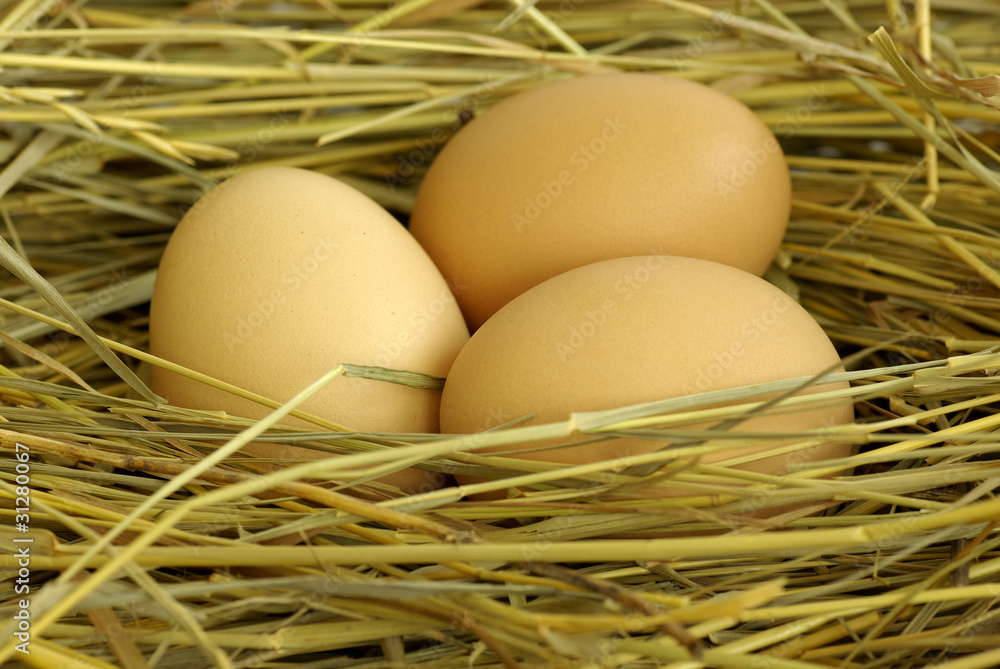 three eggs three eggs