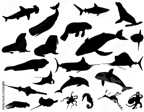 sea animals