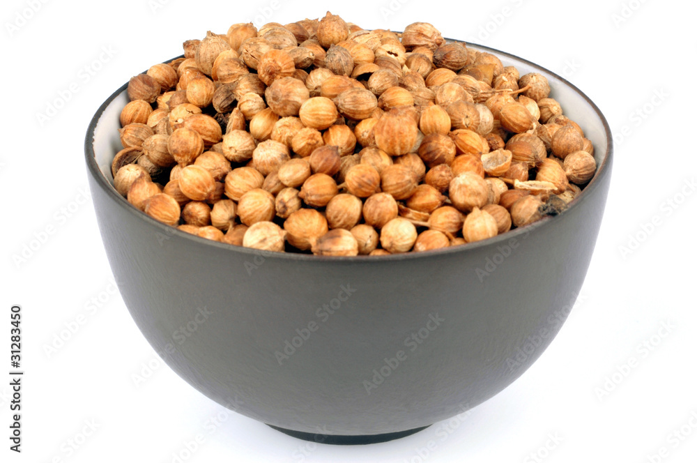 Le pot de coriandre Le pot de coriandre