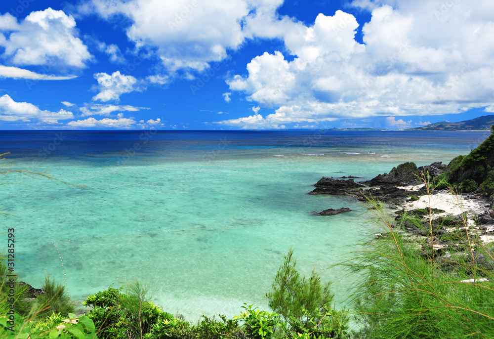 Fototapeta premium beautiful sea