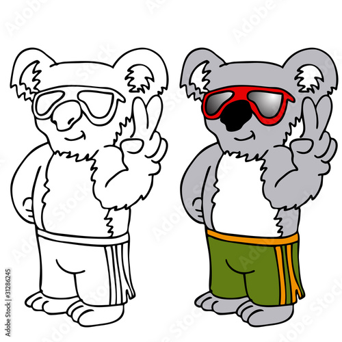 Photography Koala Wearing Sunglasses