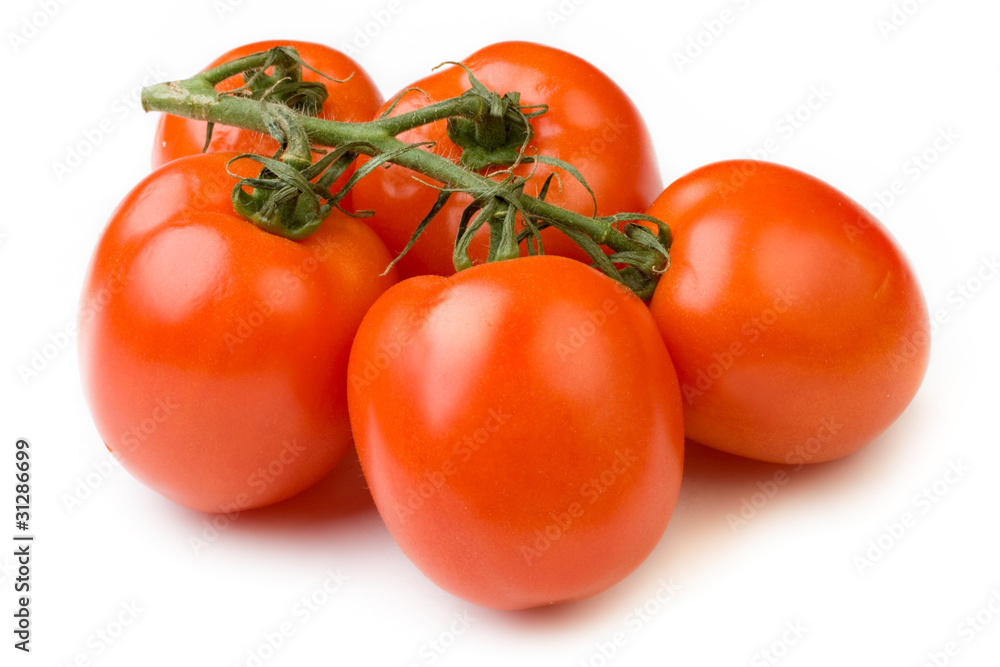 Tomatoes isolated on white background